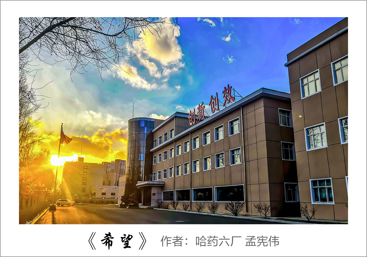 【迎国庆 展风采】我眼中的云顶国际8588yd——职工摄影大赛作品展示！